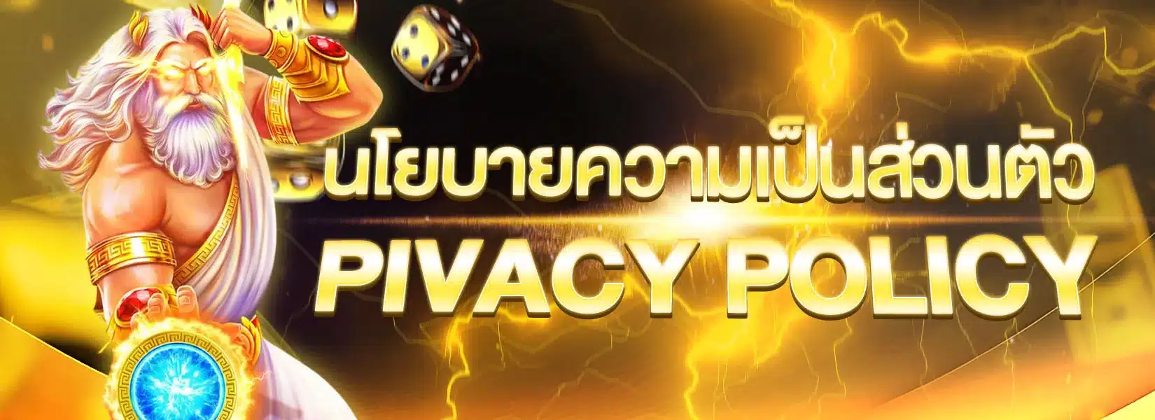 นโยบายความเป็นส่วนตัว PRIVACY POLICY